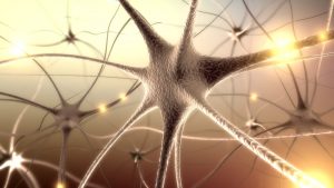 Small Fiber Neuropathy